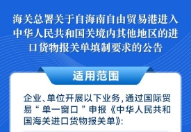 图解《海关总署关于海南自由贸易港进入中华人民共和国关境内其他地区的进口货物报关单填制要求的公告》